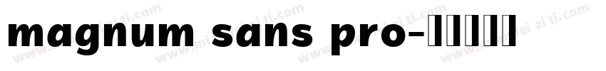 magnum sans pro字体转换